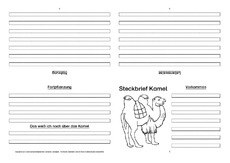 Kamel-Faltbuch-vierseitig-3.pdf